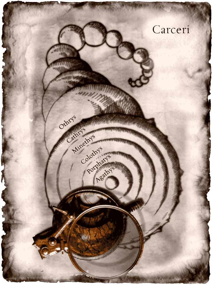 c4470d957539a554a0a17a85054a95b5.png